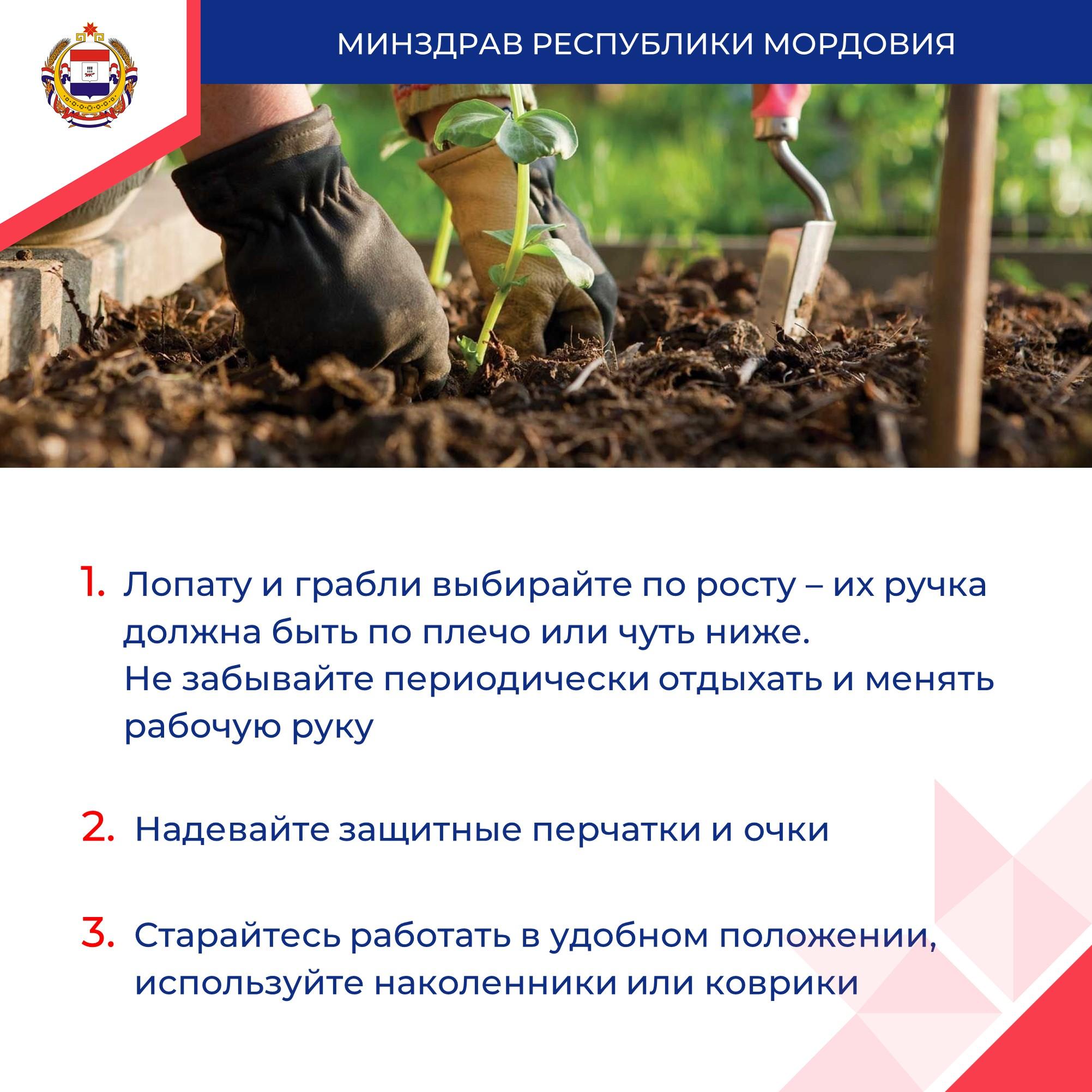 Минздрав делится рекомендациями по защите от травм в огороде.