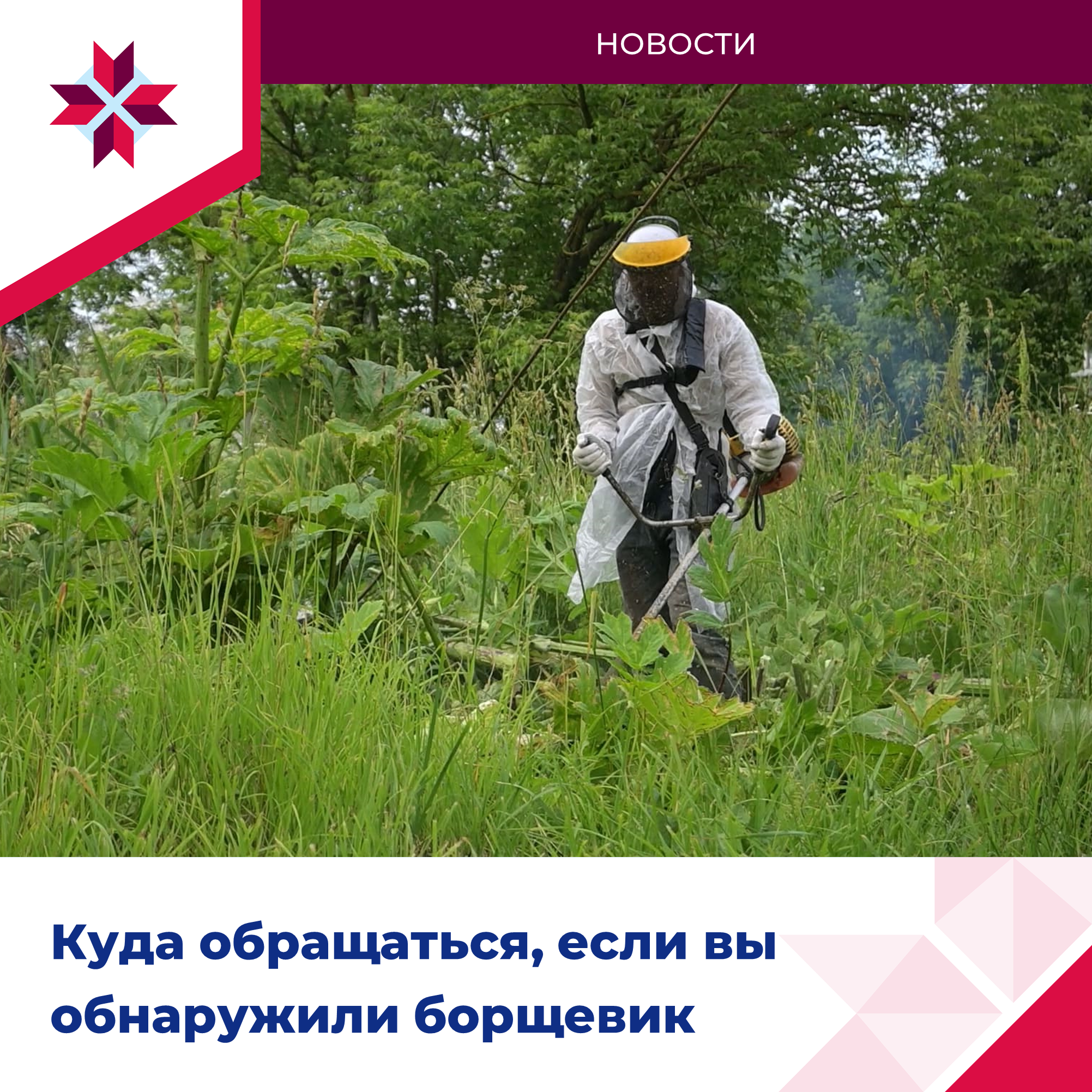 В Мордовии идёт уборка сезонной растительности.