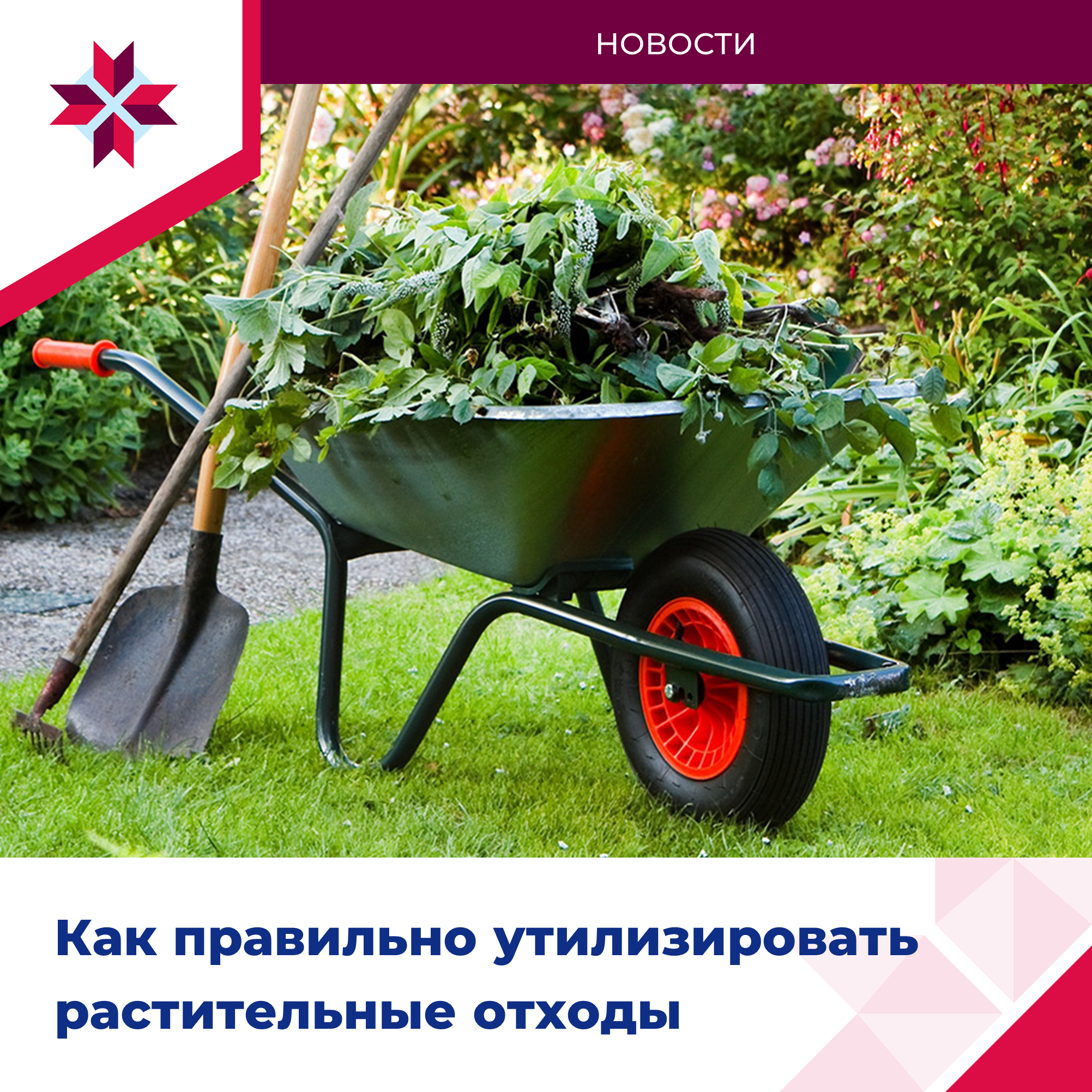 Жителям Мордовии разъясняют правила вывоза мусора.