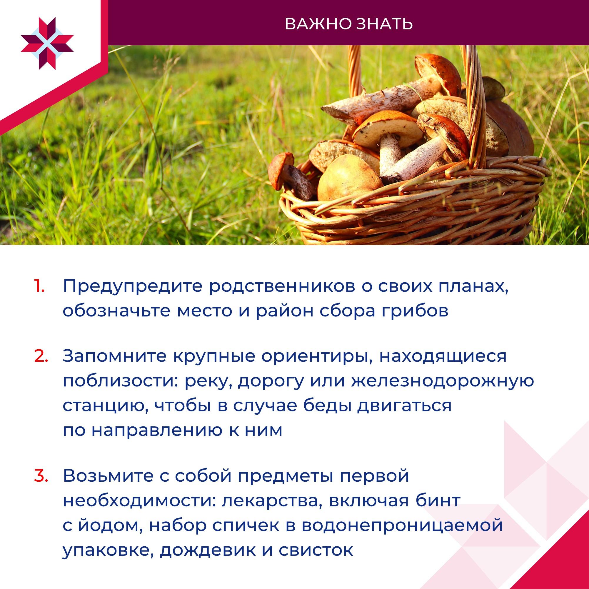 ОМСУ делятся советами для грибников.