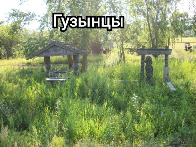 Гузынское сельское поселение.