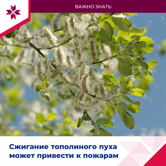 В лесах Мордовии сохраняется высокий класс пожарной опасности. В лесах Мордовии сохраняется высокий класс пожарной опасности.